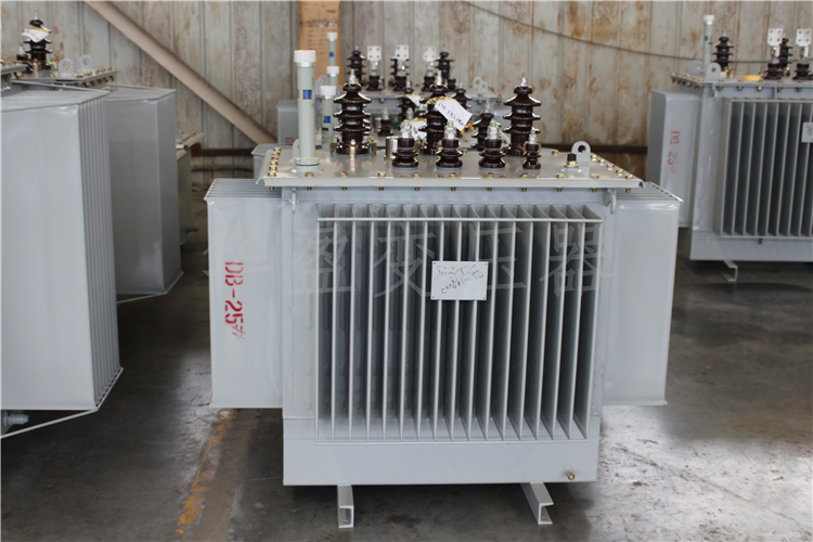 博尔塔拉S20-800kVA/10kV/0.4kV变压器